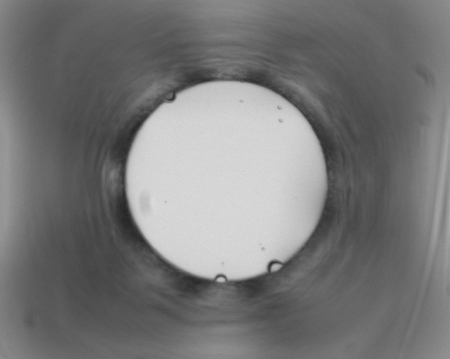 X0000113870123200910221343