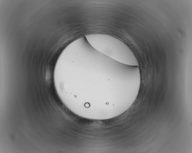 X0000113870124200910221343