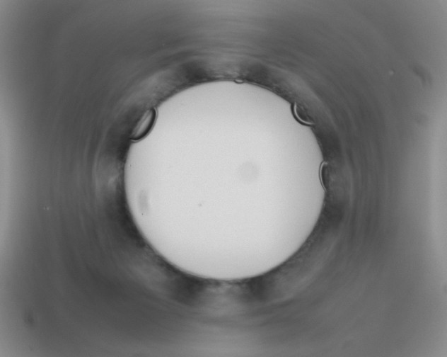 X0000113870125200910221343