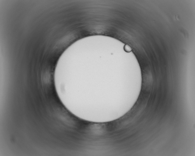 X0000113870126200910221343