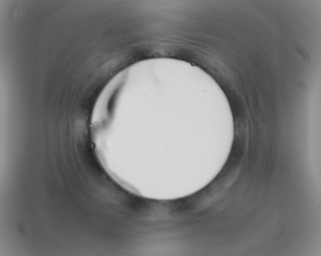 X0000113870127200910221343
