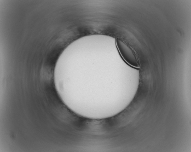 X0000113870129200910221343