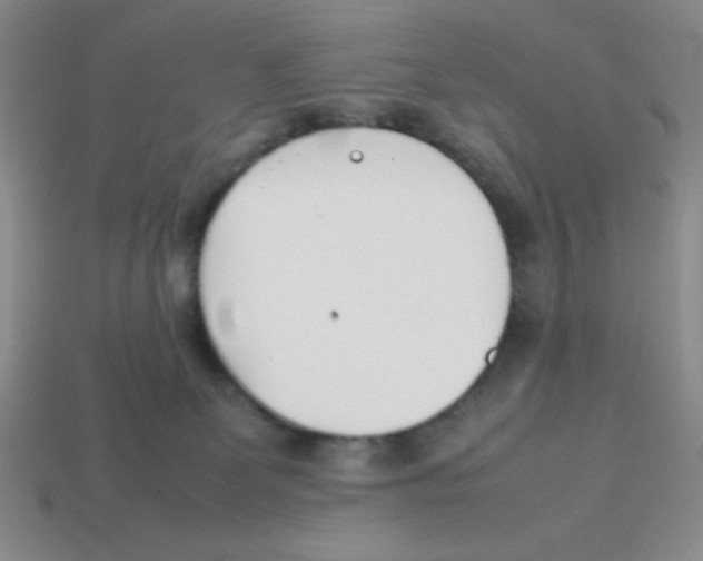 X0000113870131200910221343