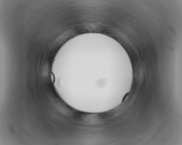 X0000113870132200910221343