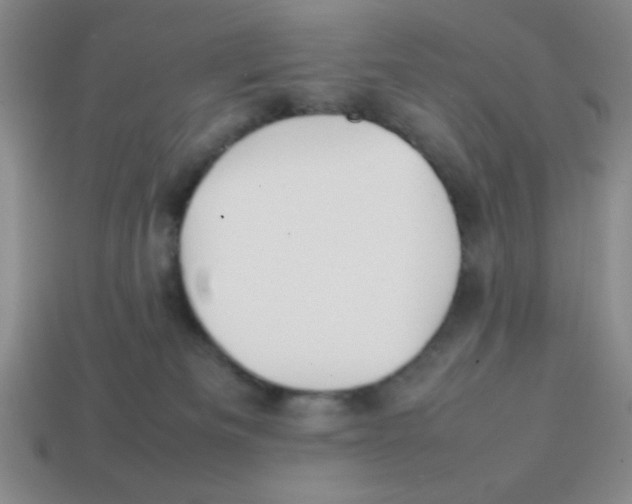 X0000113870133200910221343