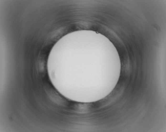 X0000113870134200910221343