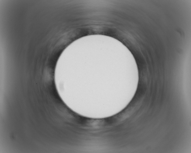 X0000113870135200910221343