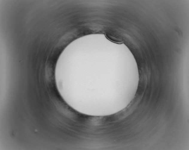 X0000113870136200910221343