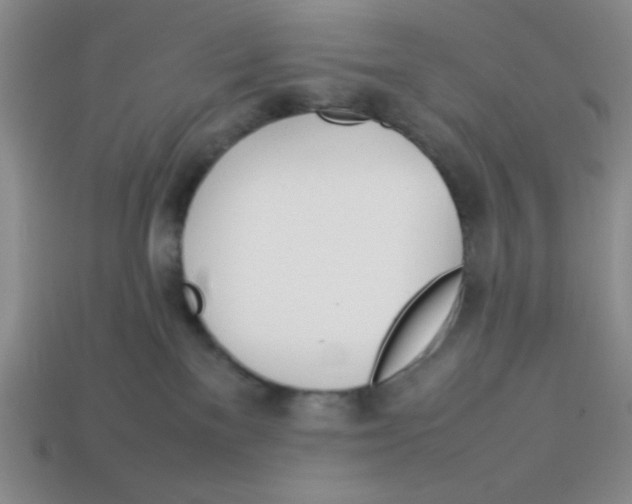 X0000113870137200910221343
