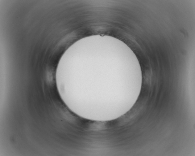 X0000113870138200910221343
