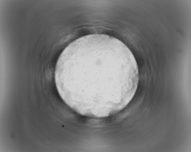 X0000113870139200910221343