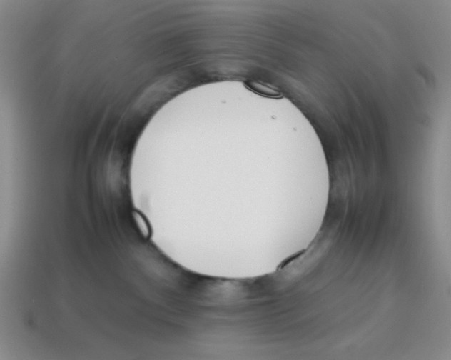 X0000113870140200910221343