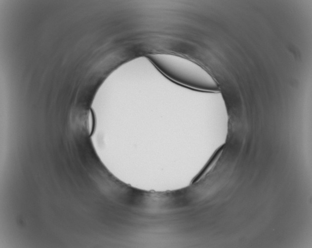 X0000113870141200910221343