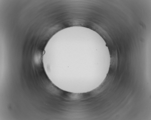 X0000113870142200910221343