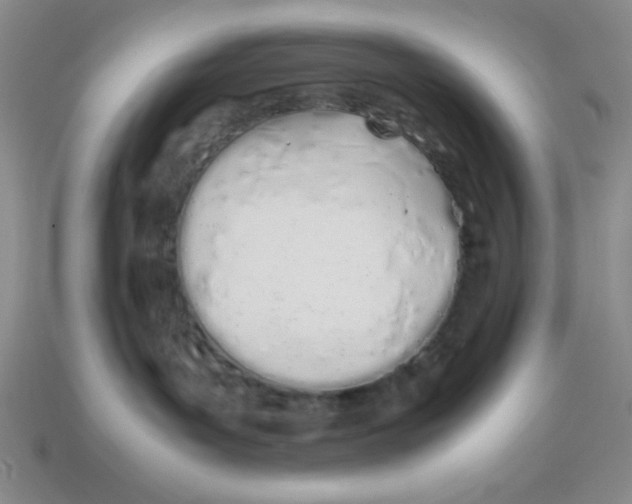 X0000113870143200910221343