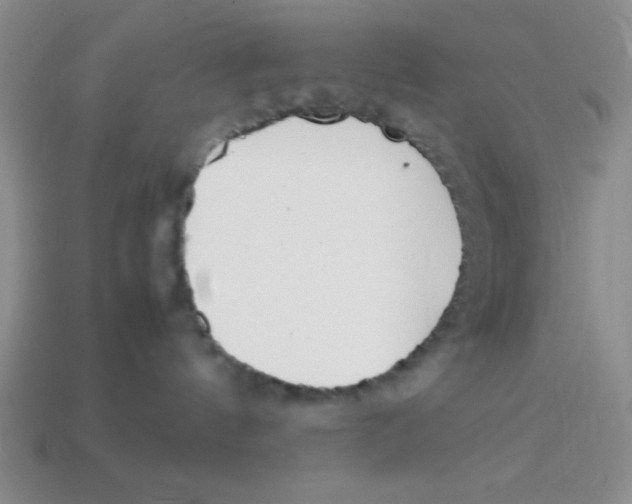 X0000113870144200910221342
