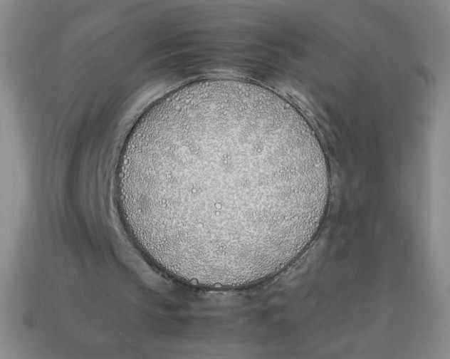 X0000113870145200910221342