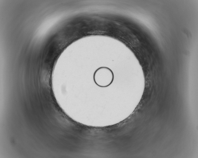 X0000113870146200910221342