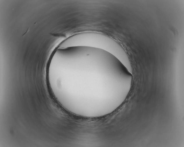 X0000113870148200910221342