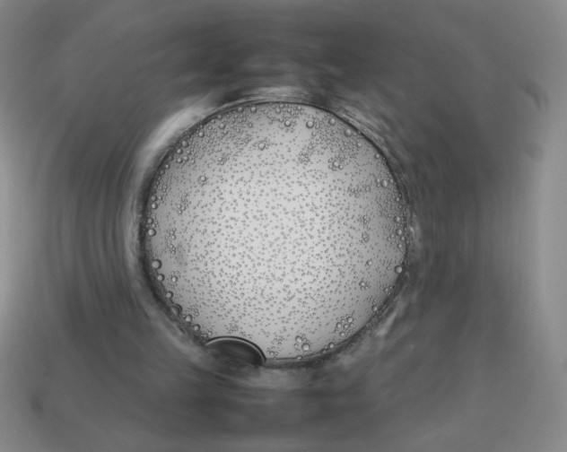X0000113870149200910221342