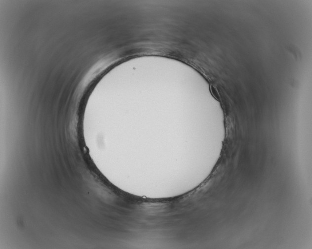 X0000113870150200910221342
