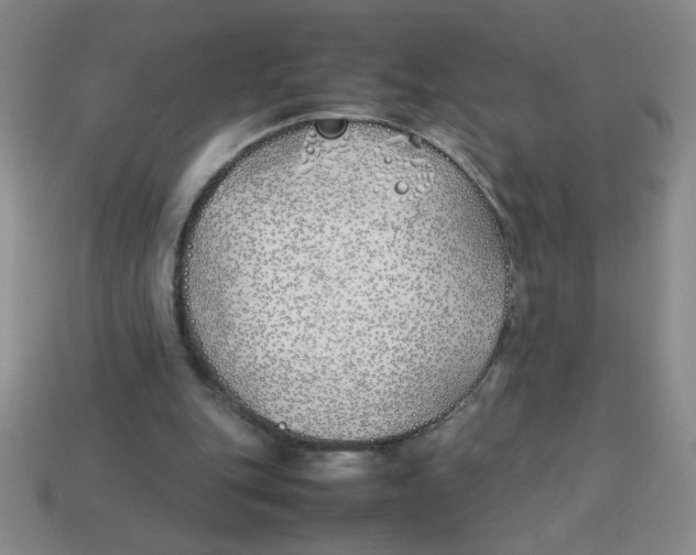 X0000113870151200910221342