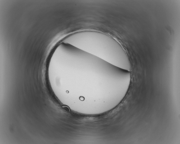 X0000113870152200910221342