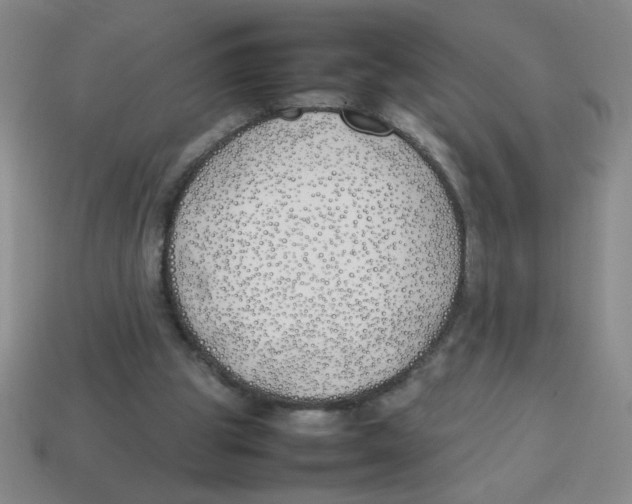 X0000113870153200910221342