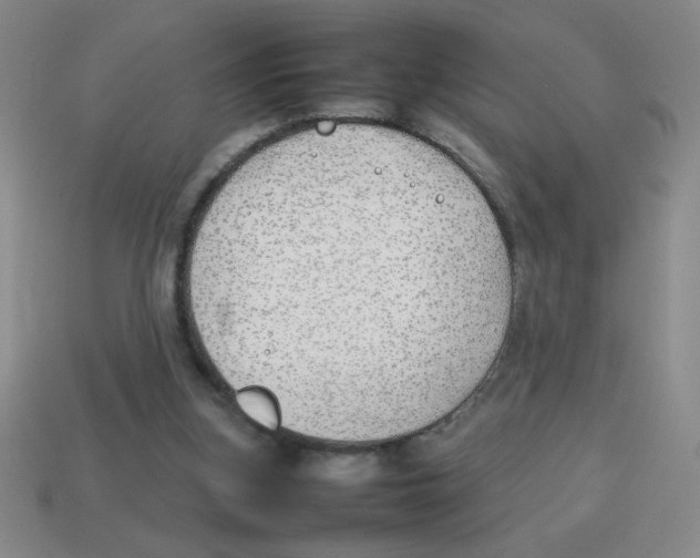 X0000113870155200910221342