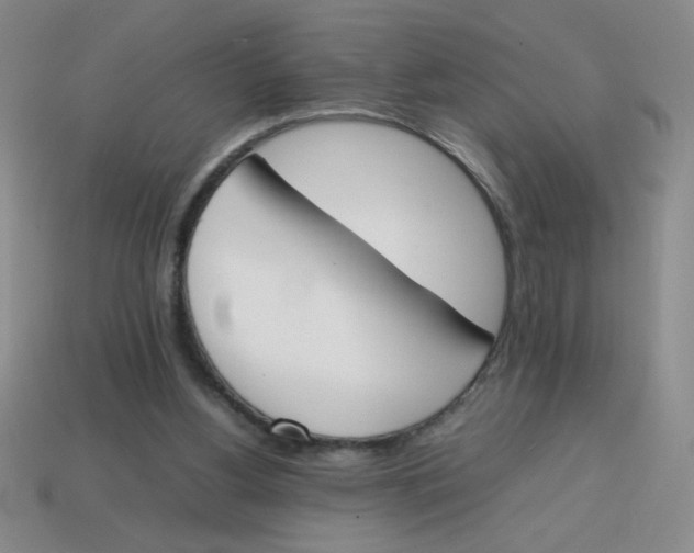 X0000113870156200910221342