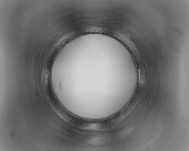 X0000113870157200910221342