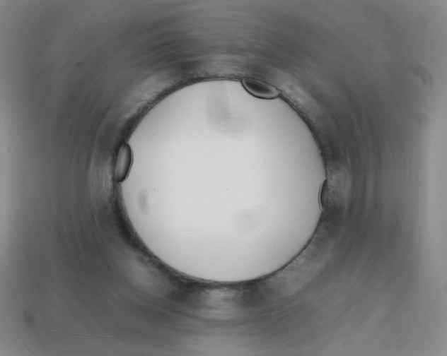 X0000113870158200910221342