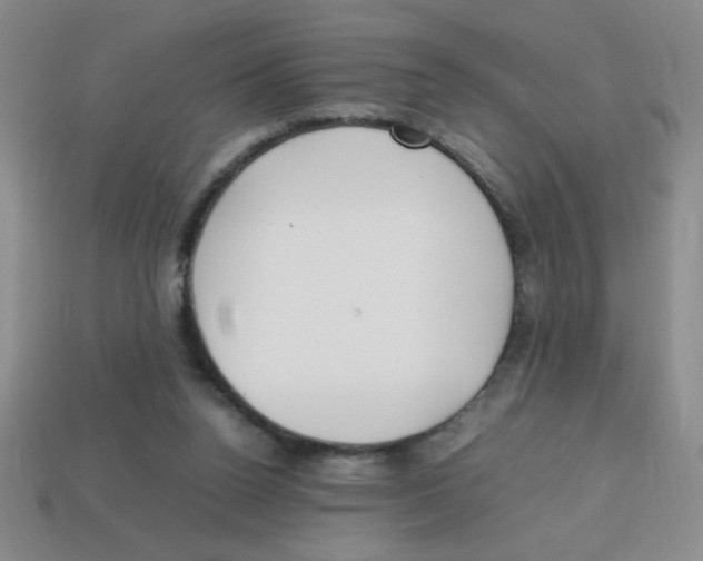 X0000113870160200910221342