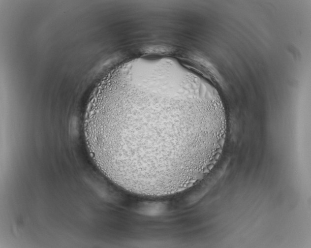 X0000113870161200910221342