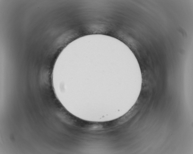 X0000113870162200910221342