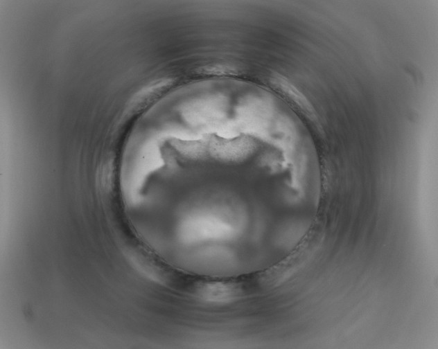 X0000113870163200910221342