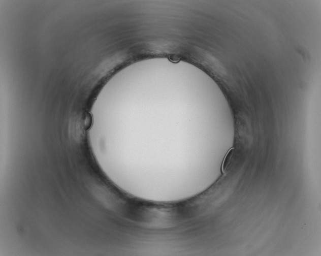 X0000113870164200910221342