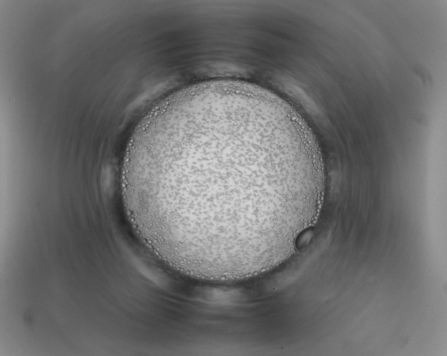 X0000113870165200910221342
