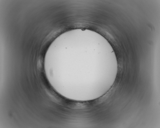 X0000113870166200910221342