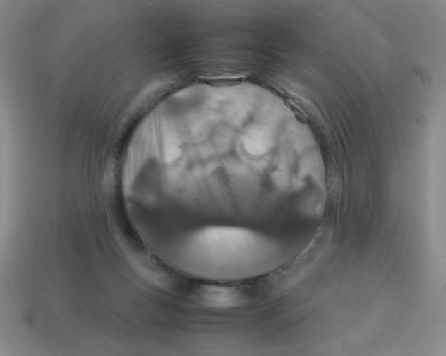 X0000113870167200910221342