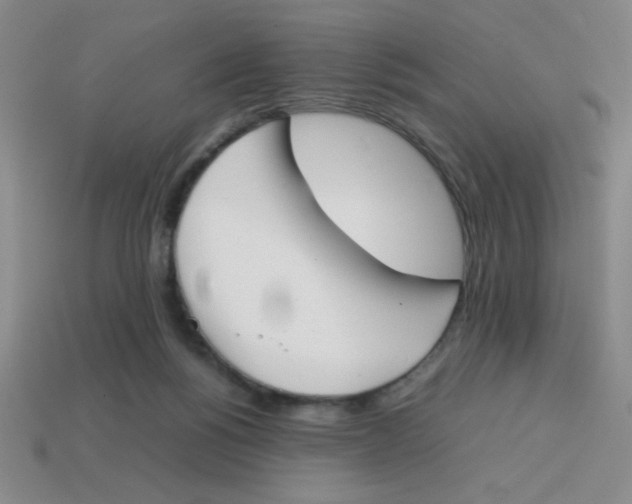 X0000113870168200910221342