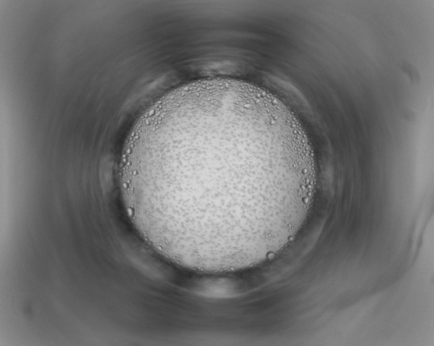 X0000113870169200910221342