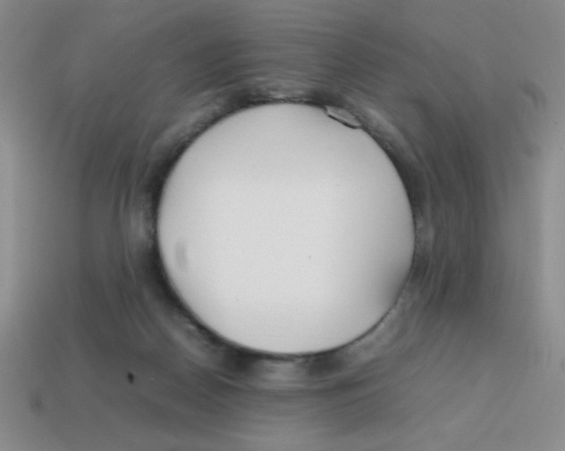X0000113870170200910221342