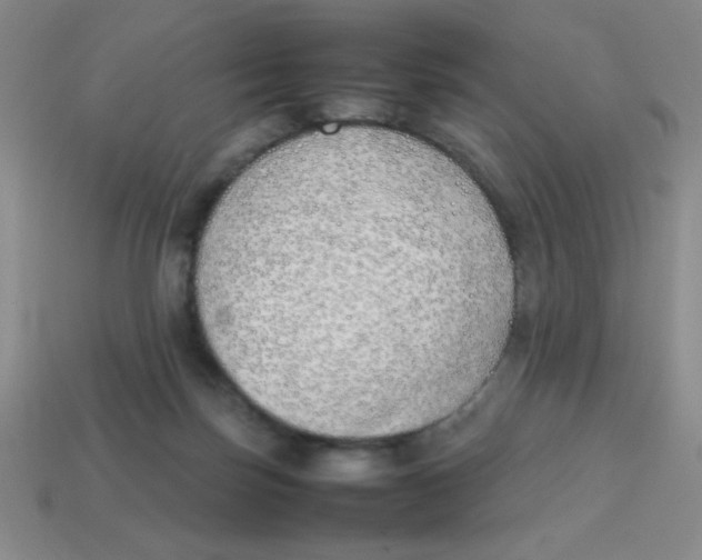 X0000113870171200910221342