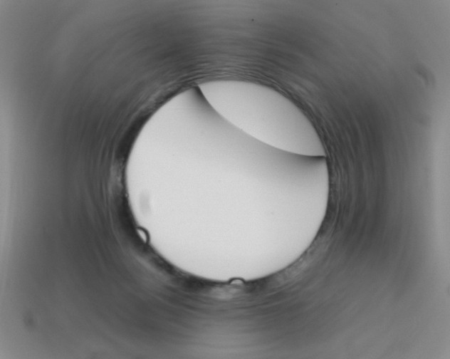 X0000113870172200910221342