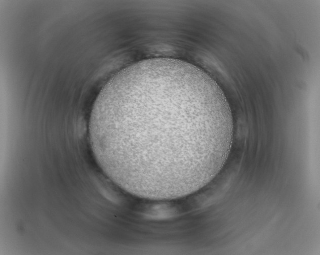 X0000113870173200910221342