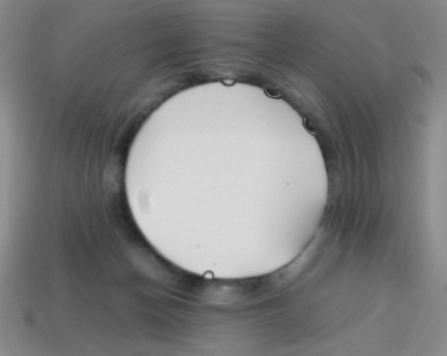X0000113870174200910221342