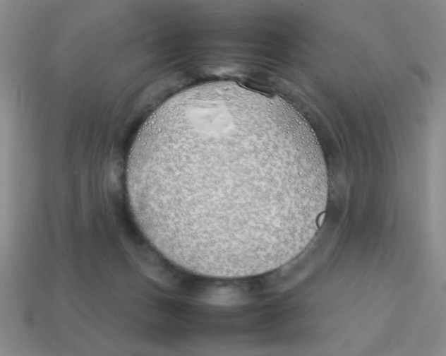 X0000113870175200910221342