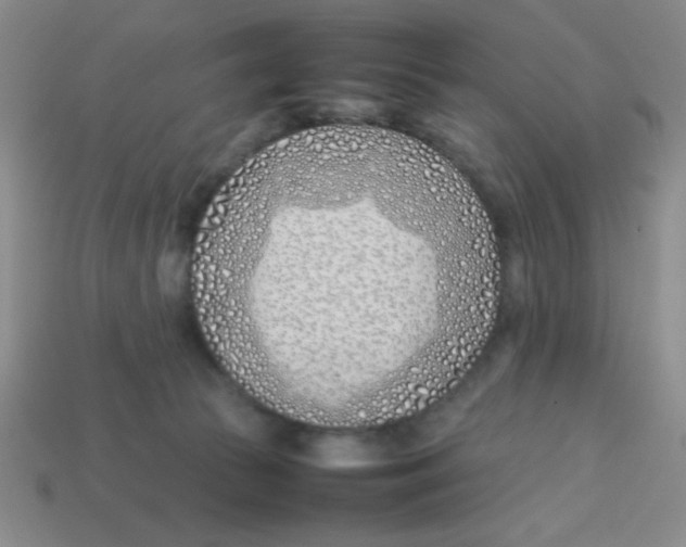 X0000113870177200910221342