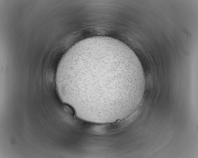 X0000113870178200910221342